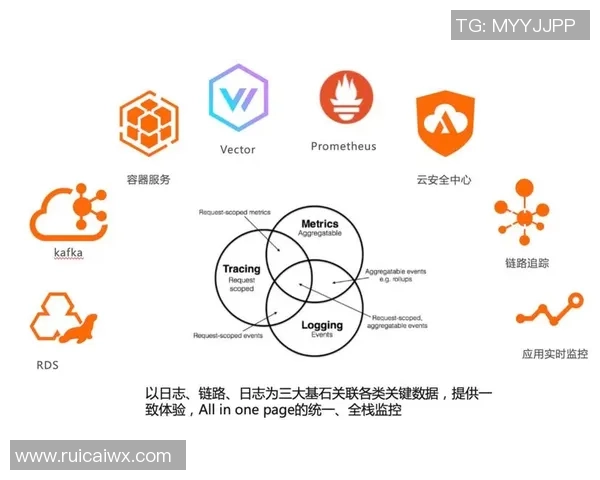 北京足球队实力对比深度剖析各队优势与劣势全景观察 北京足球队实力对比深度剖析各队优势与劣势全景观察