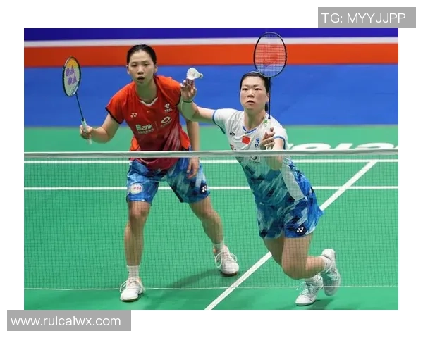 杨磊专访:羽毛球人生的起伏与辉煌回顾 杨磊专访:羽毛球人生的起伏与辉煌回顾